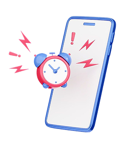 24시간 실시간 조회 서비스